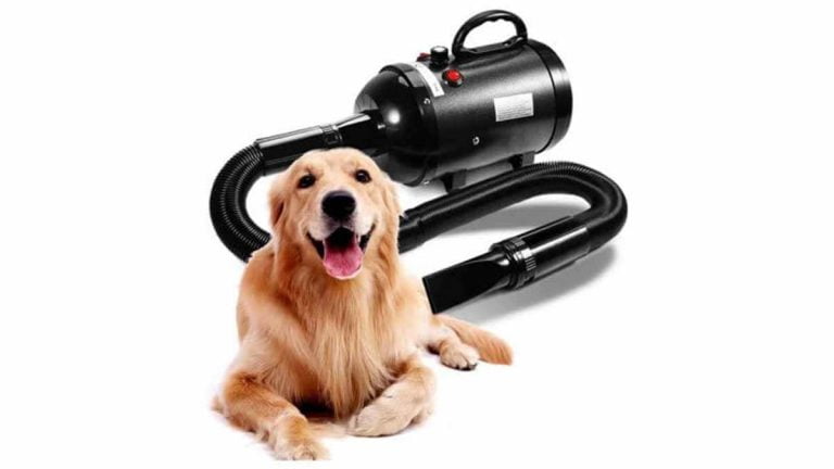 Best Dog Dryers: Choose The One That’s Right For You And Your Dog!